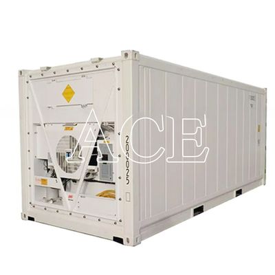 20ft Reefer Container Thermo King Kühlgerät mit Außenabmessungen 606*244*259mm und 32CBM Kapazität