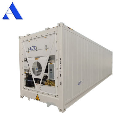 40ft Reefer Tief Blast Feezer Behälter Polyurethan Isoliert Thermo King Kühlschrank für 60 Grad frischen Thunfisch Lagerung