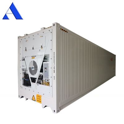 40ft Reefer Tief Blast Feezer Behälter Polyurethan Isoliert Thermo King Kühlschrank für 60 Grad frischen Thunfisch Lagerung