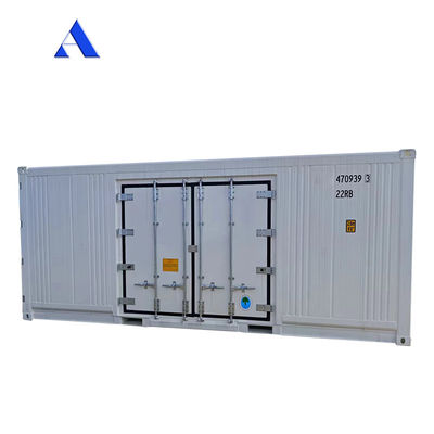 Carrier Cooler 20ft Reefer Container mit Seitentür Aluminium Boden Thermo King Kühlschrank