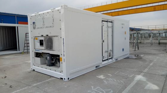 Carrier Cooler 20ft Reefer Container mit Seitentür Aluminium Boden Thermo King Kühlschrank
