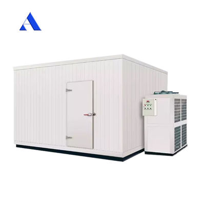 4x2.2x2.5m Mobil 13ft Mini Trinkbar Kühl-Fries-und Chiller-Container Kühlraum mit Aluminium T-Bar-Boden