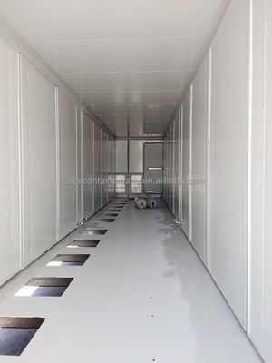 Akzeptiert Kleinbestellmenge Bess Anpassbarer 40ft Solarenergie Speichersystem Batteriebehälter