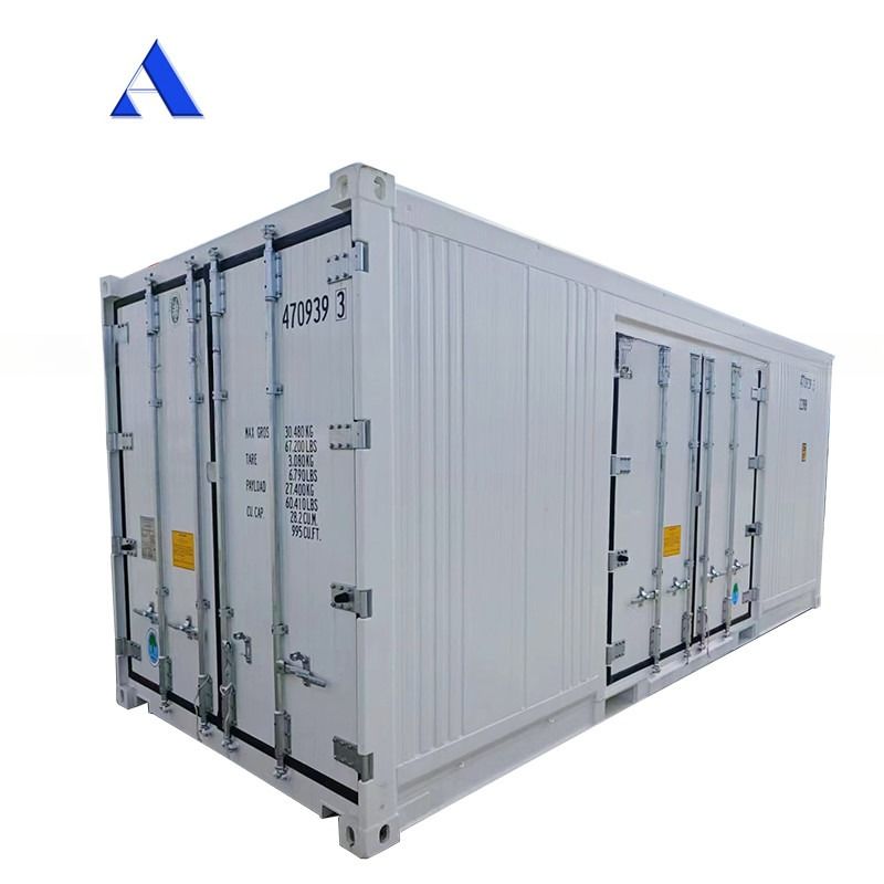 Carrier Cooler 20ft Reefer Container mit Seitentür Aluminium Boden Thermo King Kühlschrank